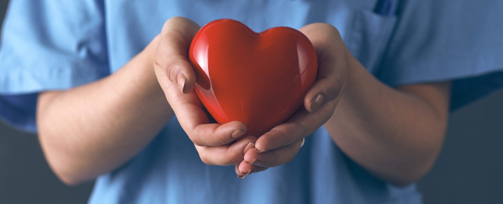 Closeup of caregiver in blue scrubs holding red plastic heart in hands.